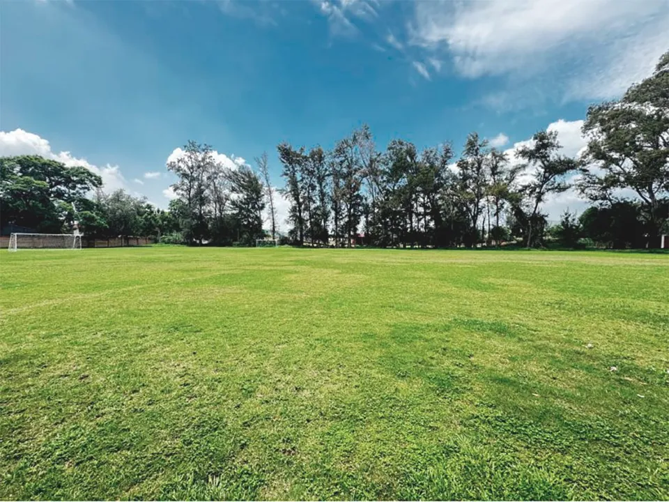 Foto 6 de TERRENO EN VENTA EN SAN AGUSTIN