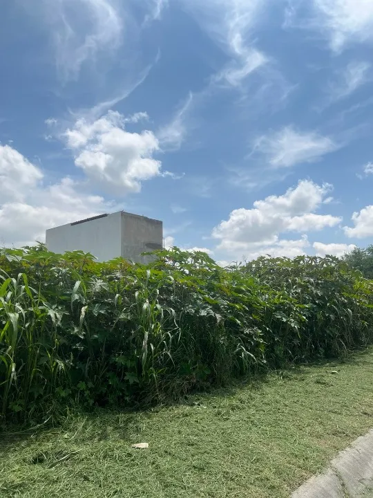 Terreno en venta en Real de cántaros , Apaseo el grande , Apaseo el Grande