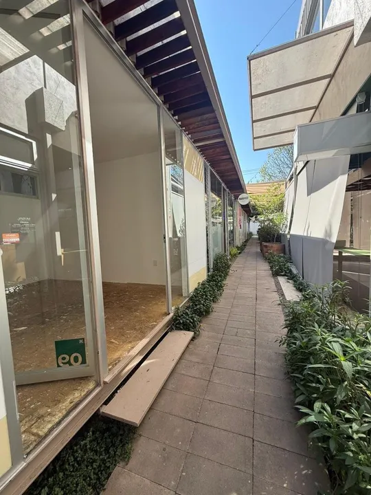 Foto 5 de Local Comercial en Renta en Colomos Providencia