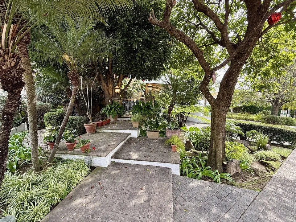 Foto 5 de Residencia en Venta - Lomas del Bosque