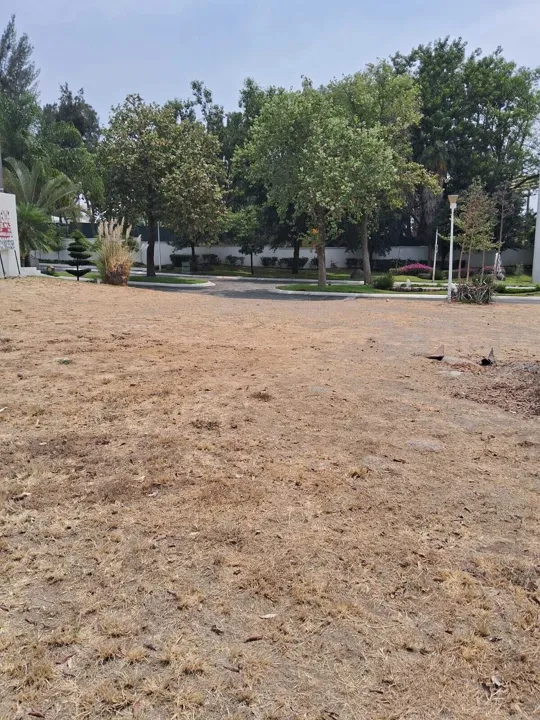 Foto 7 de Terreno en Venta en Lago Nogal, Tlajomulco de Zúñiga, Jalisco