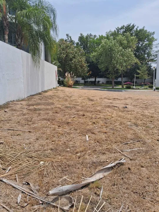 Foto 9 de Terreno en Venta en Lago Nogal, Tlajomulco de Zúñiga, Jalisco