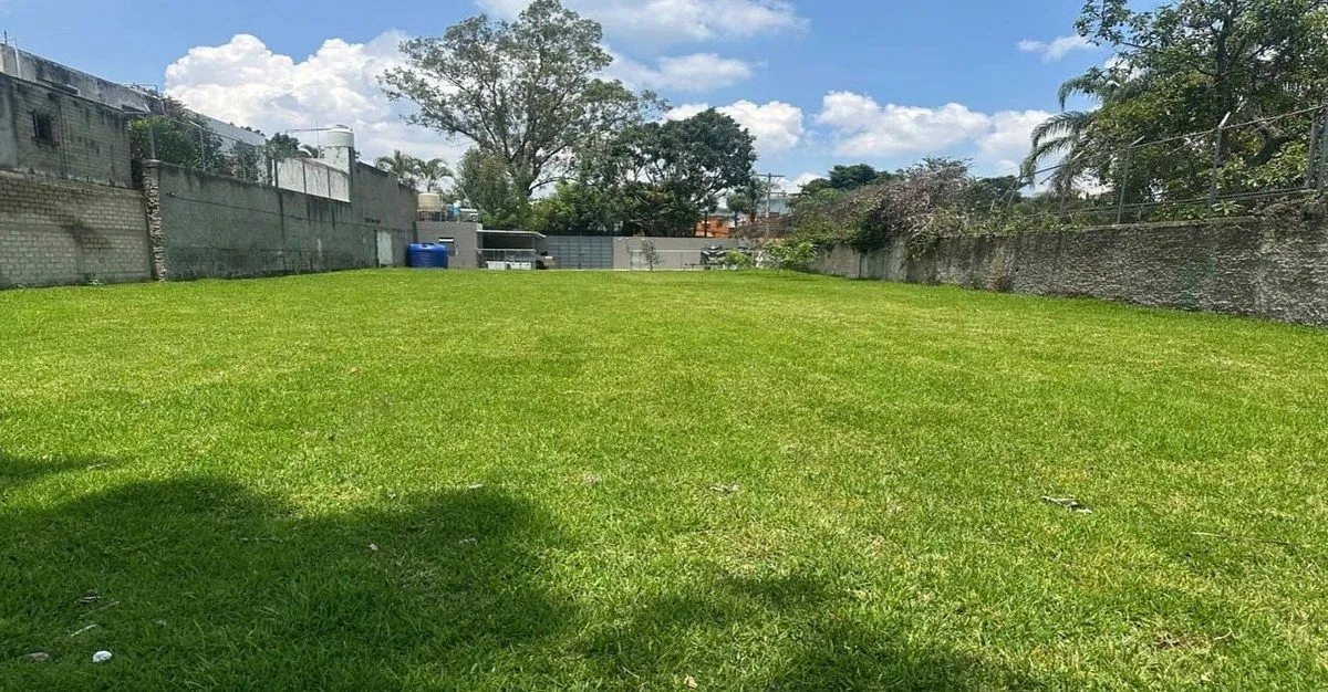 Foto 2 de Terreno en venta en Ciudad Granja