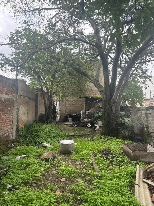 Foto 6 de Terreno en venta en Calzada de los Laureles, Granja, Zapopan