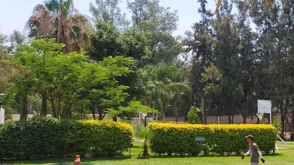 Foto 5 de Casa en venta en Privanza, Camino Real a Colima, San Agustín, Jalisco
