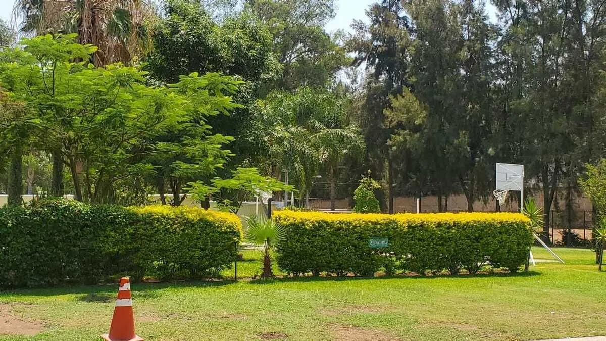Foto 6 de Casa en venta en Privanza, Camino Real a Colima, San Agustín, Jalisco