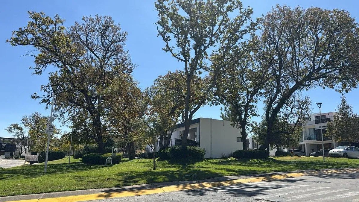 Foto 6 de Terreno en Venta en Valle Imperial Zapopan | Coto Acacia 190.8 m²
