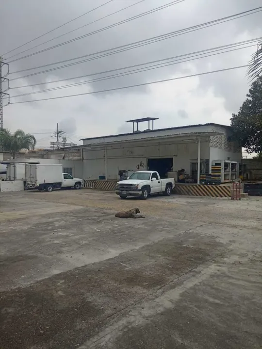 Foto 2 de Renta Bodega en Paseos Del Briseño Zapopan
