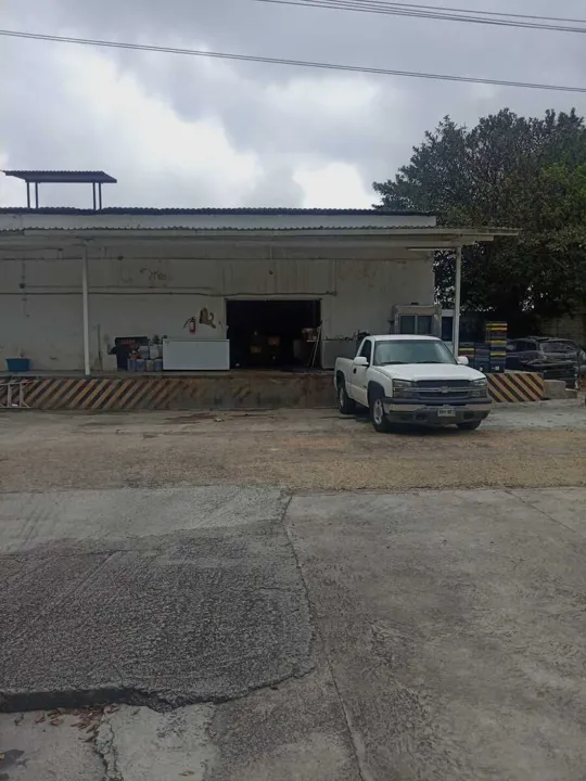 Foto 6 de Renta Bodega en Paseos Del Briseño Zapopan