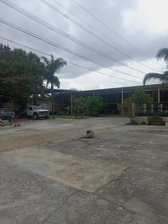 Foto 7 de Renta Bodega en Paseos Del Briseño Zapopan