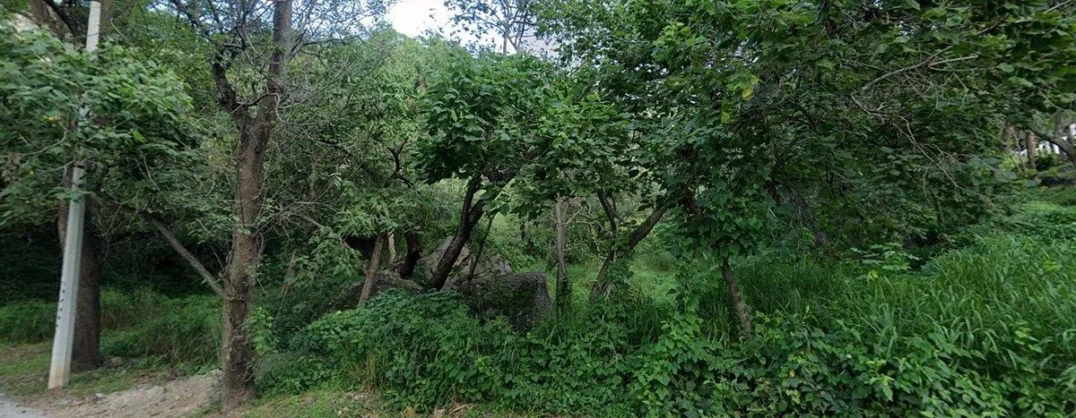 Foto 4 de Terreno en venta Las Cañadas, Bosques de Chapultepec, Zapopan