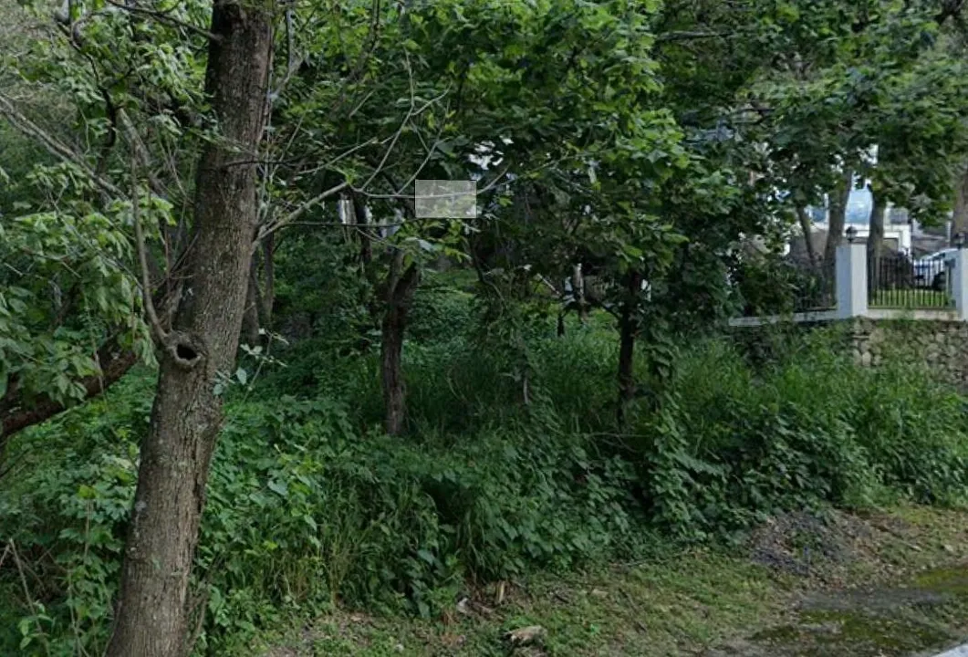 Foto 5 de Terreno en venta Las Cañadas, Bosques de Chapultepec, Zapopan