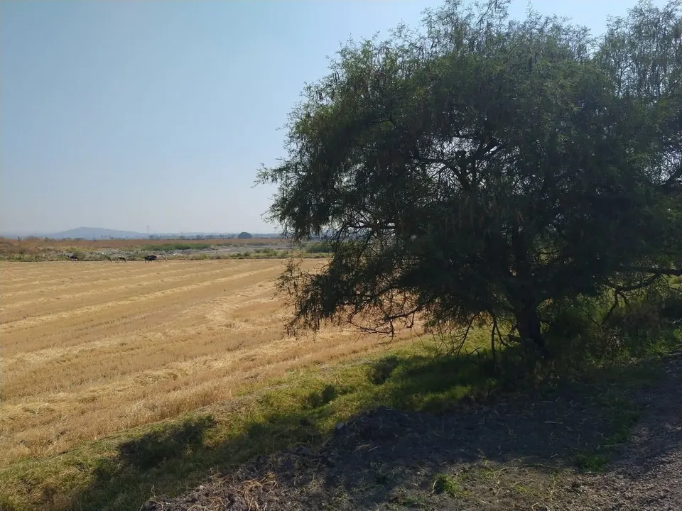 Foto 2 de Terreno plano industrial o agricola en venta en la capilla el salto jalisco