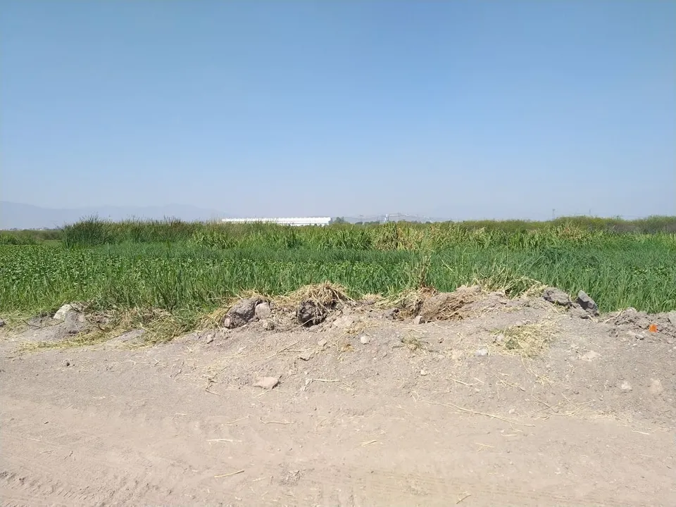 Foto 4 de Terreno plano industrial o agricola en venta en la capilla el salto jalisco
