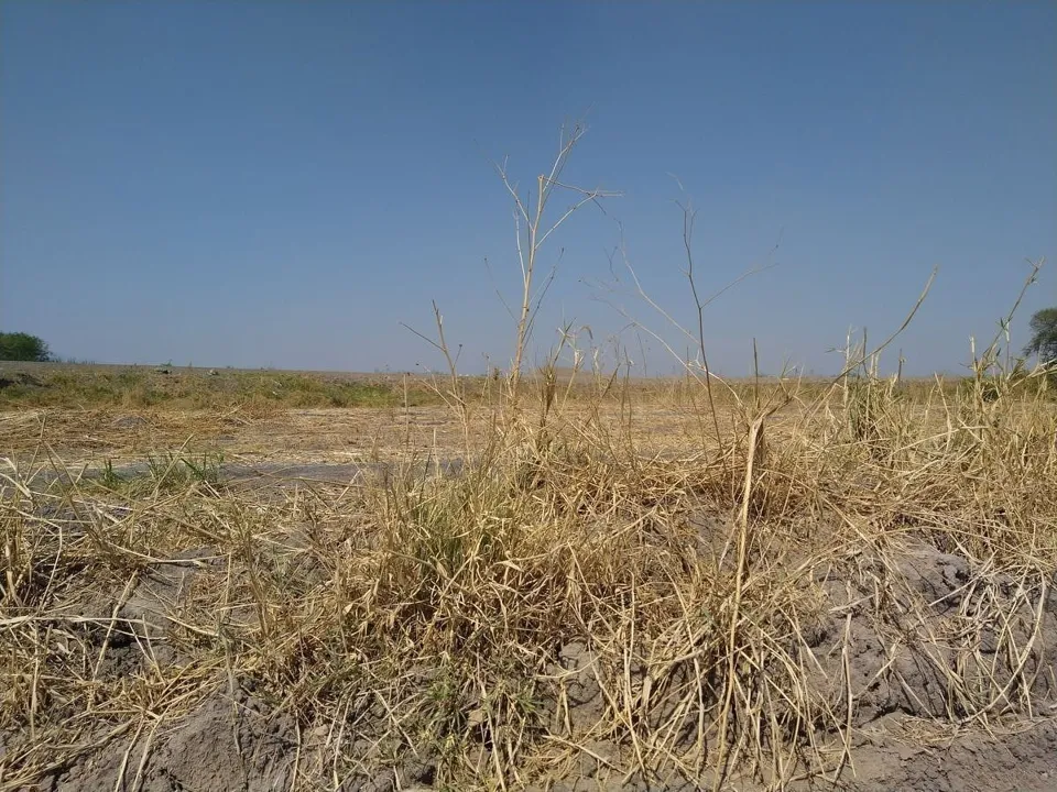 Foto 7 de Terreno plano industrial o agricola en venta en la capilla el salto jalisco