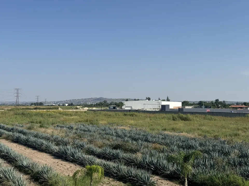 Foto 8 de Terreno Industrial en Venta en Aeropuerto - Camino viejo a los Laureles 75