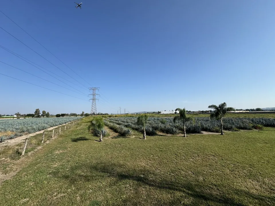 Foto 9 de Terreno Industrial en Venta en Aeropuerto - Camino viejo a los Laureles 75