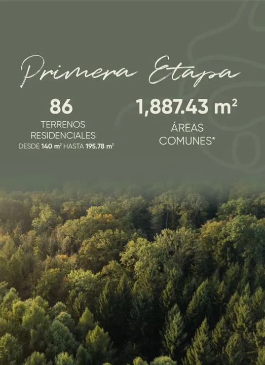 Foto 9 de Terreno en venta en Santa Ana Tepetitlán