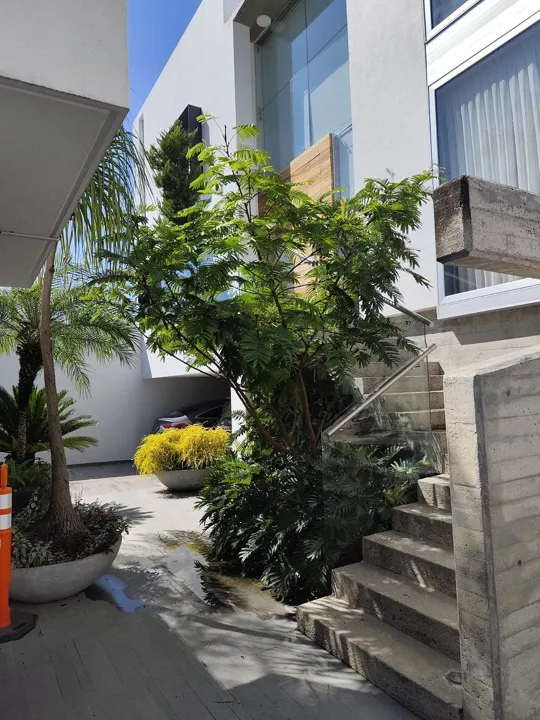 Foto 5 de RESIDENCIA CON ALBERCA EN JACARANDAS