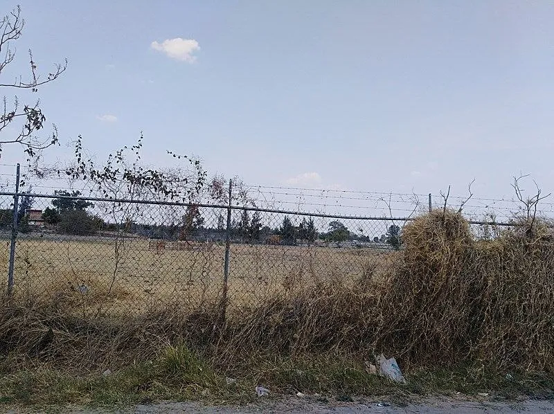 Foto 4 de Terreno en venta, Paseos del Prado, Tlaquepaque, Jalisco