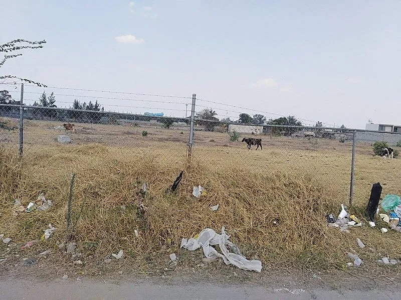 Foto 7 de Terreno en venta, Paseos del Prado, Tlaquepaque, Jalisco