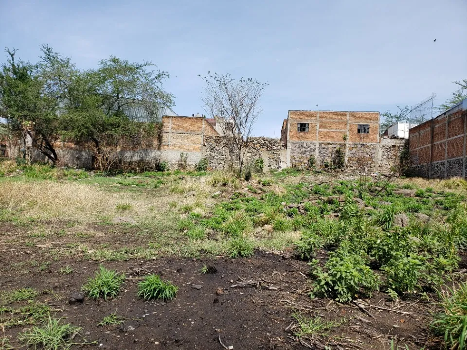 Foto 6 de Terreno en venta en Pedro Moreno, El Mirador, Tonalá