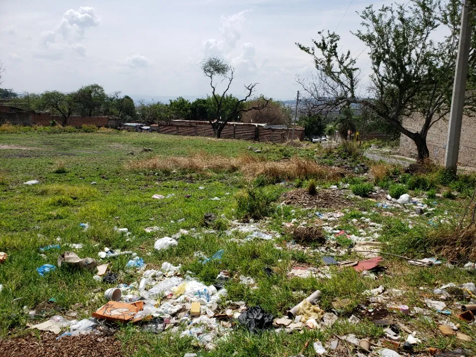 Foto 8 de Terreno en venta en Pedro Moreno, El Mirador, Tonalá