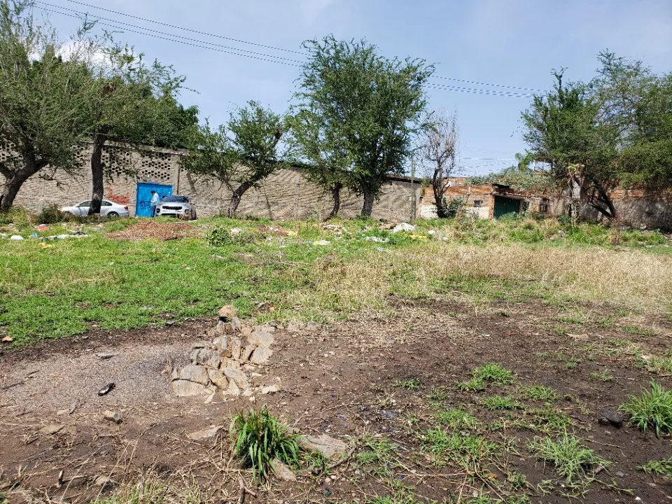 Foto 9 de Terreno en venta en Pedro Moreno, El Mirador, Tonalá