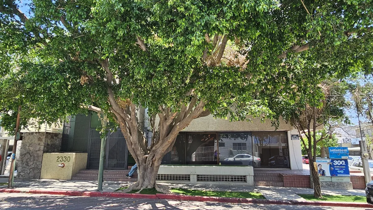 Piso Completo para Oficinas en Venta