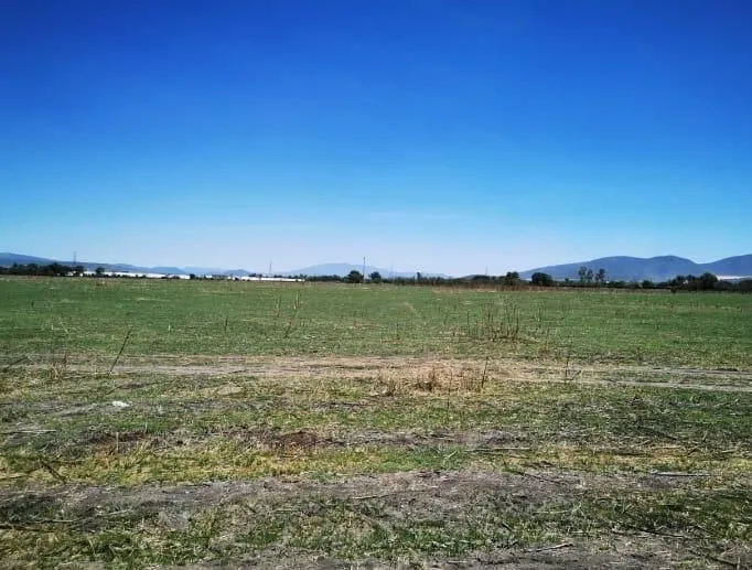 Rancho en venta en Rancho En Colón, Santa Rosa De Lima, Colón