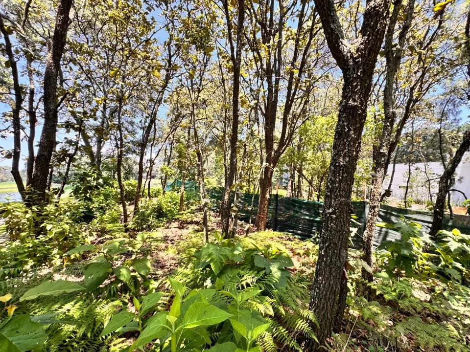 Foto 6 de Terreno en Venta en El Cielo Country Club colinda con Lago de Campo de Golf