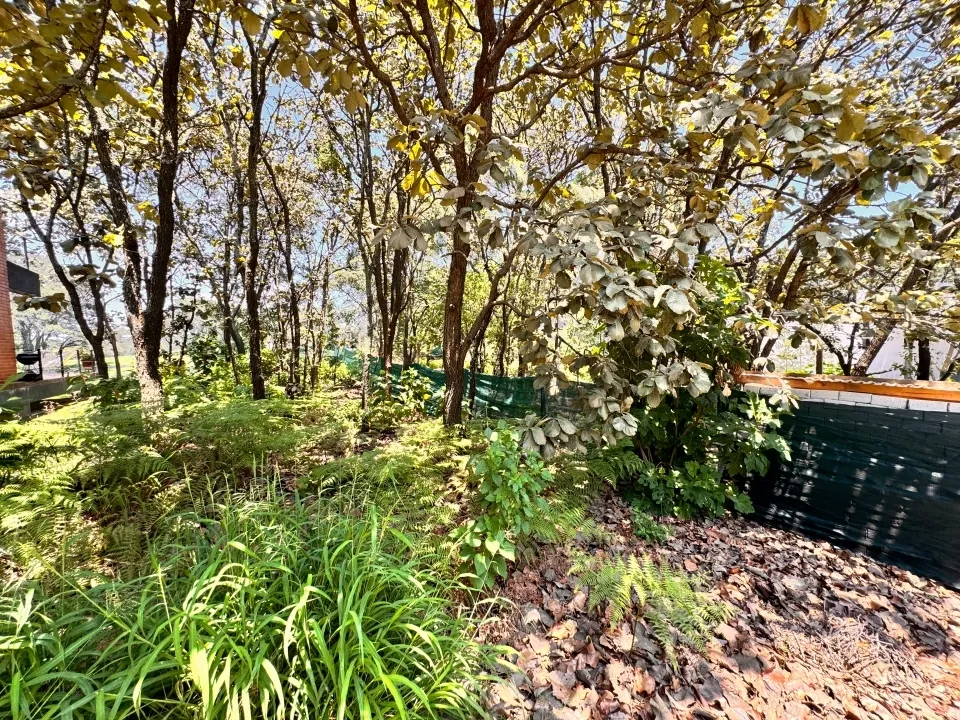 Foto 7 de Terreno en Venta en El Cielo Country Club colinda con Lago de Campo de Golf