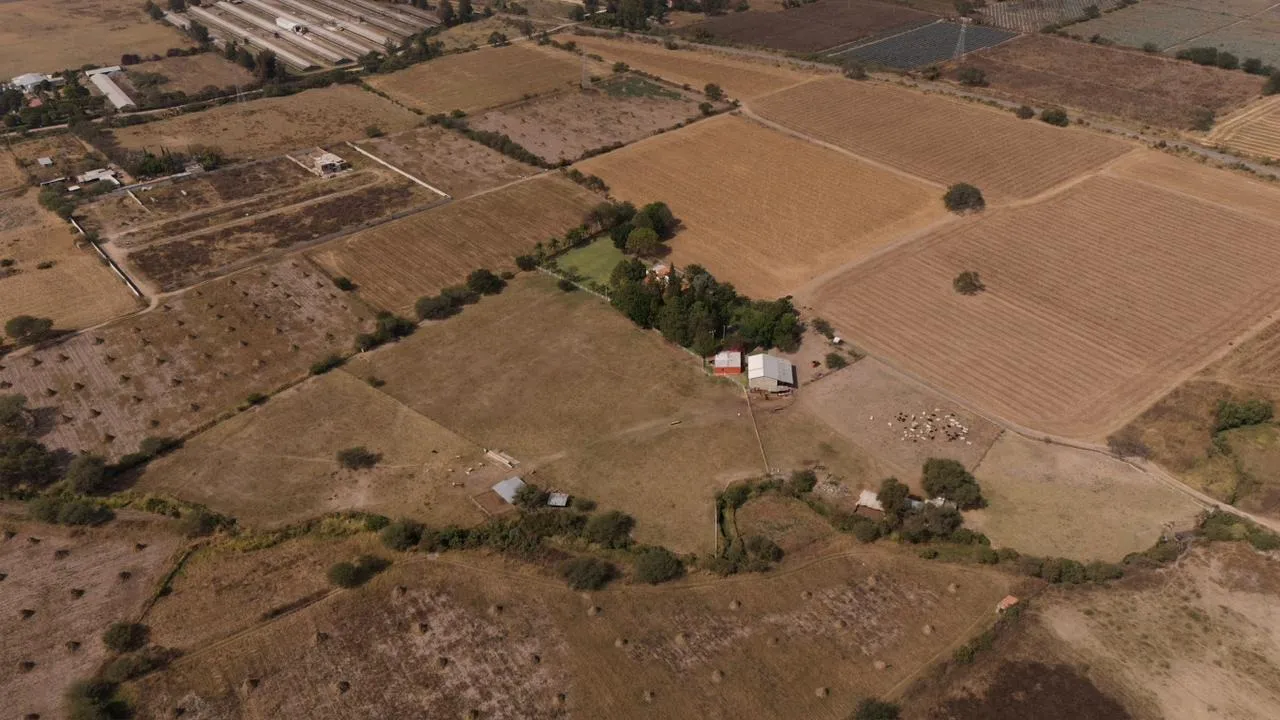 Foto 6 de Rancho en venta en Vallarta Ote, Tlajomulco de Zúñiga, Tlajomulco de Zúñiga