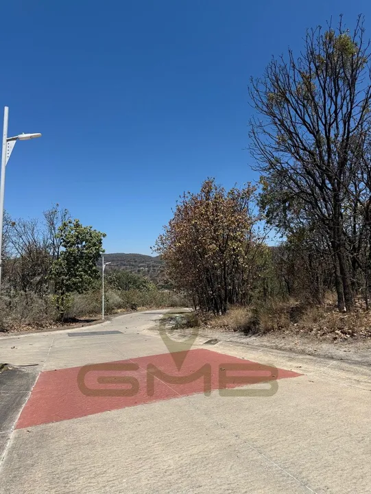 Terreno en Venta en Coto Las Ardillas, Bugambilias