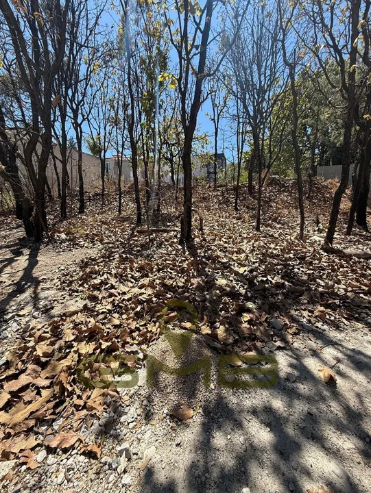 Foto 4 de Terreno en Venta en Coto Las Ardillas, Bugambilias