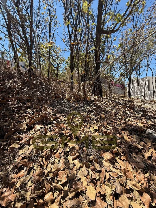 Foto 5 de Terreno en Venta en Coto Las Ardillas, Bugambilias