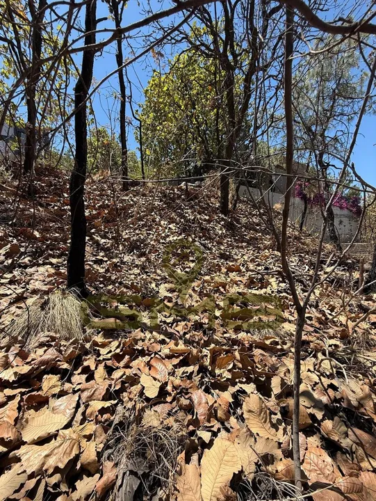 Foto 6 de Terreno en Venta en Coto Las Ardillas, Bugambilias