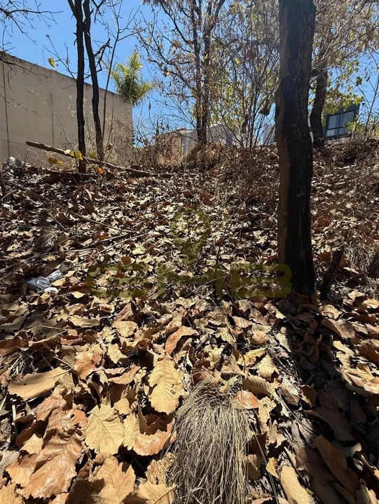 Foto 7 de Terreno en Venta en Coto Las Ardillas, Bugambilias