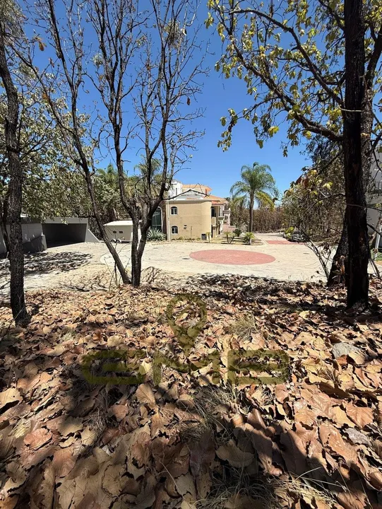 Foto 8 de Terreno en Venta en Coto Las Ardillas, Bugambilias