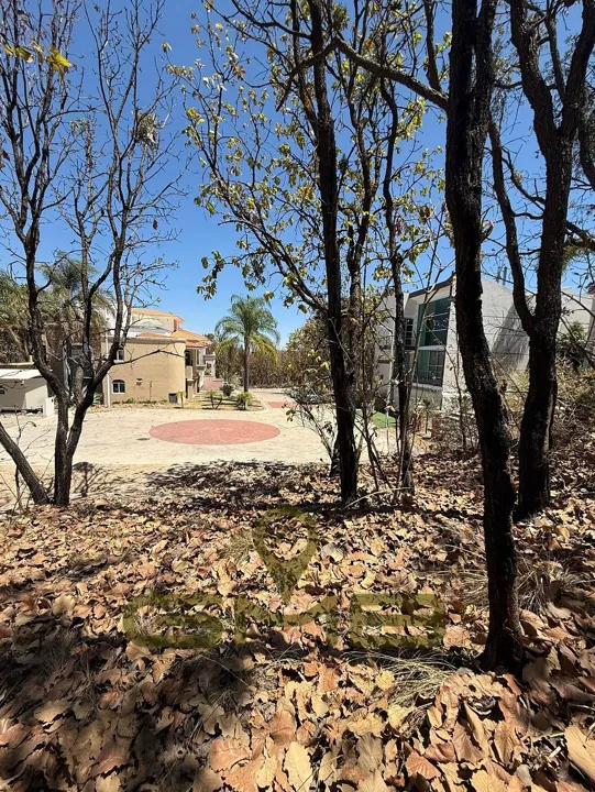 Foto 9 de Terreno en Venta en Coto Las Ardillas, Bugambilias