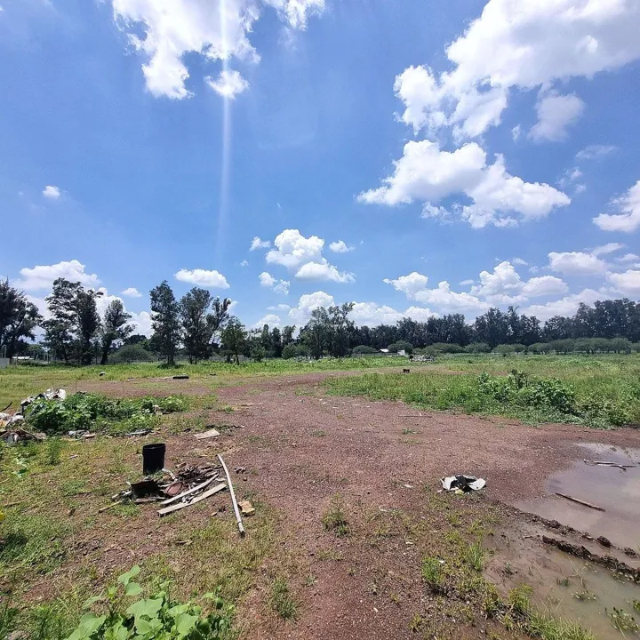 Terreno PLANO en RENTA a 50m de Carr. GDL-Chapala