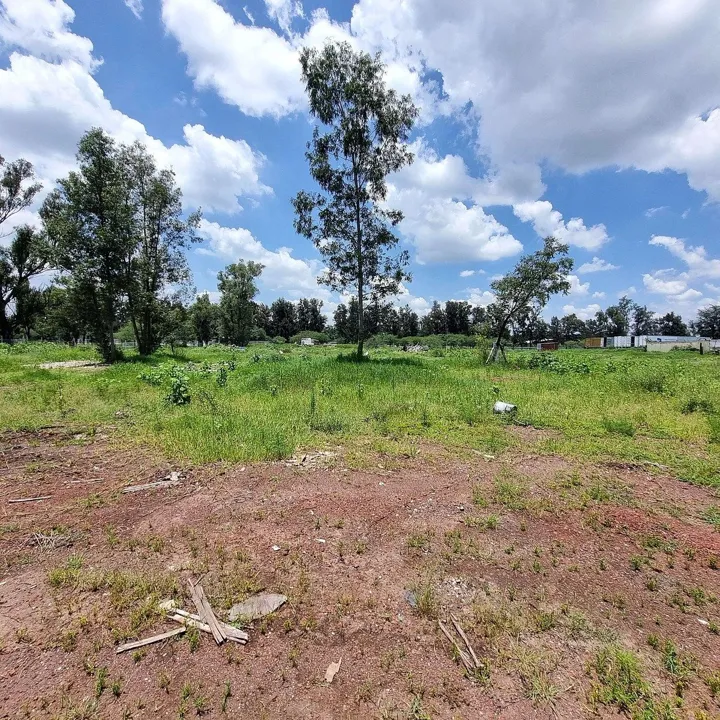 Foto 4 de Terreno PLANO en RENTA a 50m de Carr. GDL-Chapala