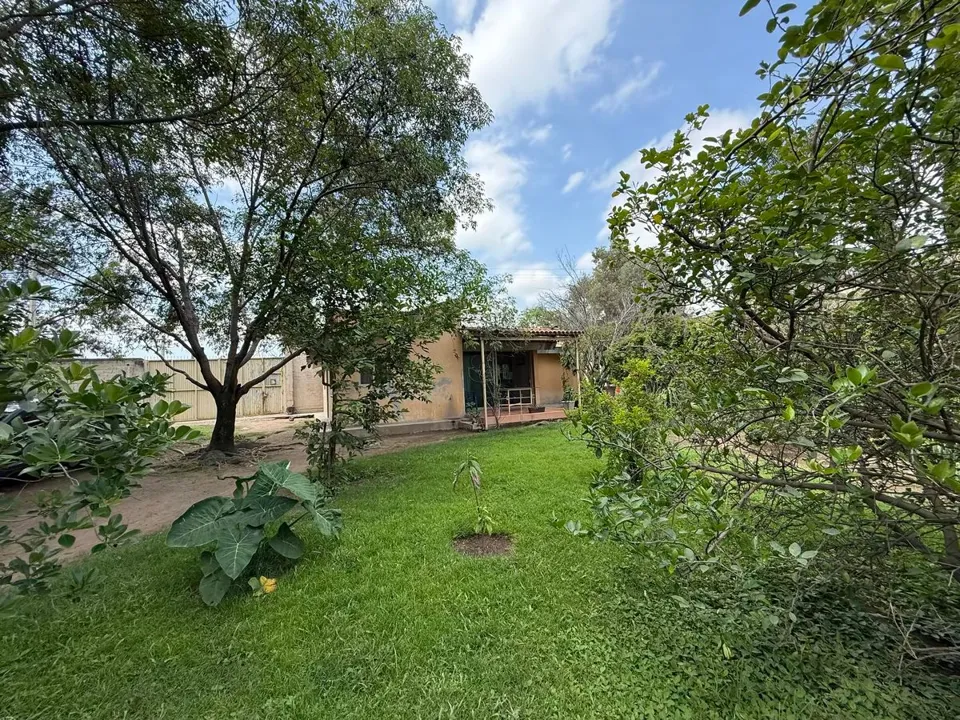 Foto 4 de Granja en Venta en San Sebastian el Grande