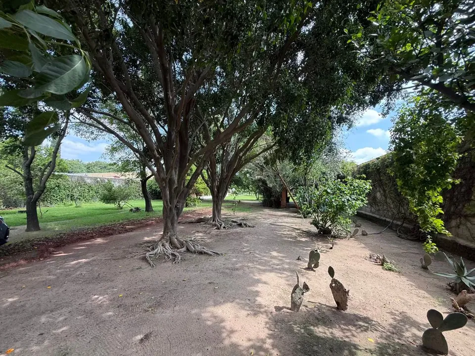 Foto 9 de Granja en Venta en San Sebastian el Grande