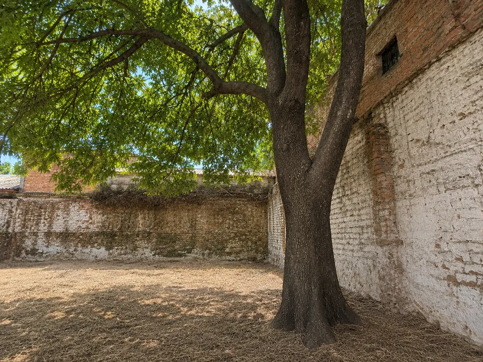 Foto 4 de Terreno USO MIXTO en venta SAN JUAN BOSCO