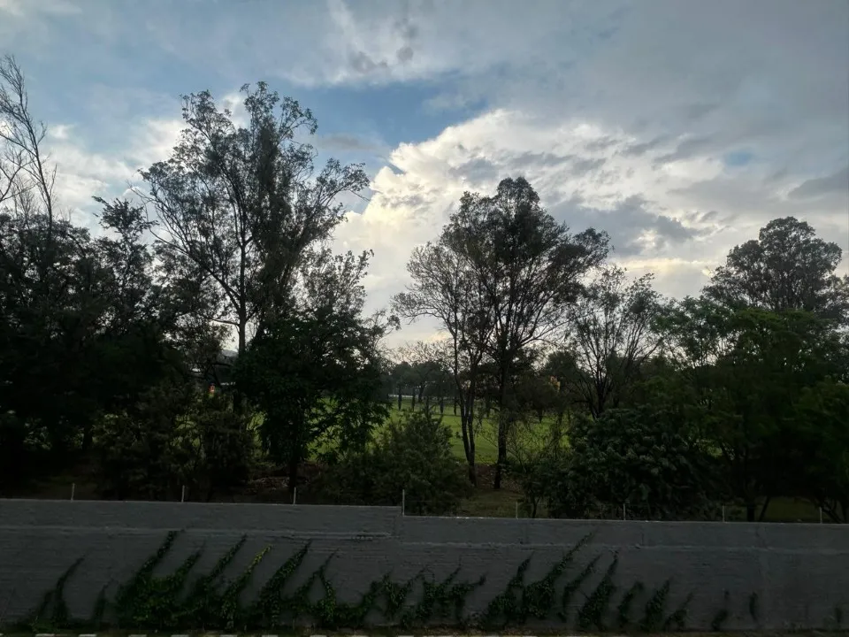 Foto 6 de Departamento en renta en Av. Del Parque , Paseo De Los Parque, Tlaquepaque