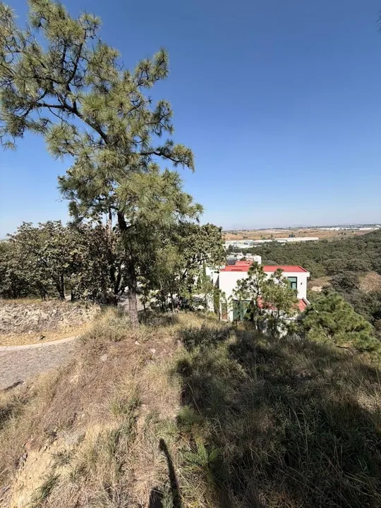 Foto 2 de TERRENO EN VENTA EN DIANA NATURA RESIDENCIAL