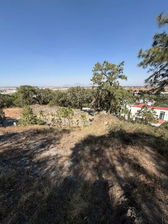 Foto 5 de TERRENO EN VENTA EN DIANA NATURA RESIDENCIAL
