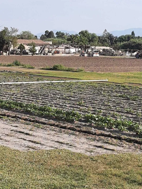 Foto 4 de Terreno Venta Pueblo de Santa Anita Tlaquepaque | RTV-2141