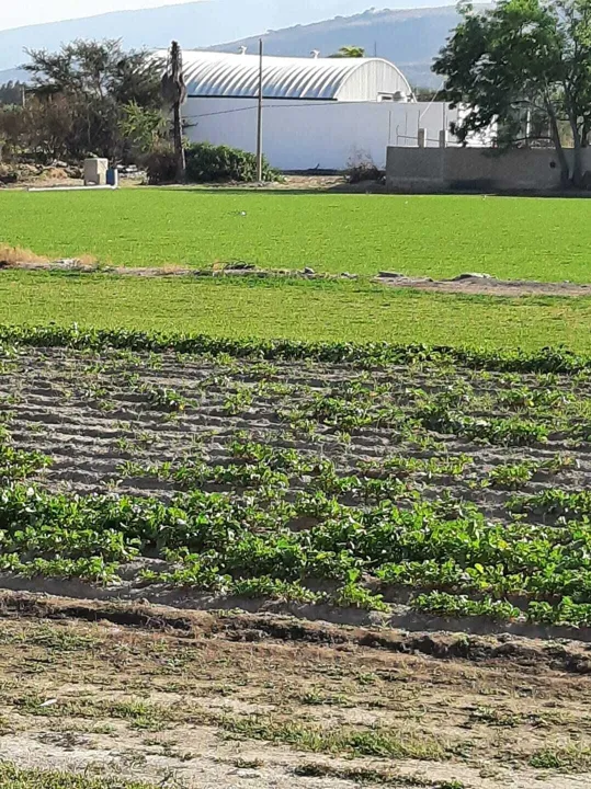 Foto 7 de Terreno Venta Pueblo de Santa Anita Tlaquepaque | RTV-2141